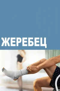 Жеребец 1-3 сезон